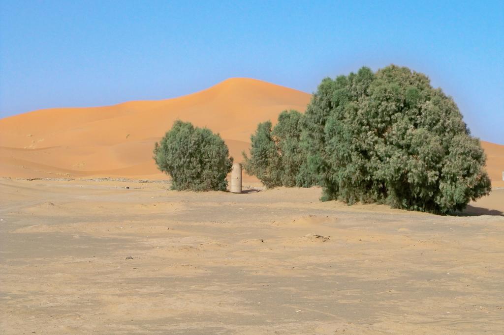 Kasbah Tamariste Merzouga Exterior foto