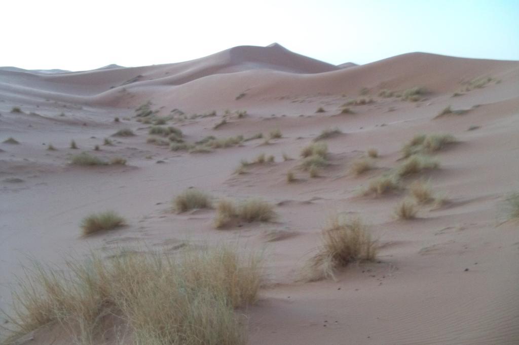 Kasbah Tamariste Merzouga Exterior foto