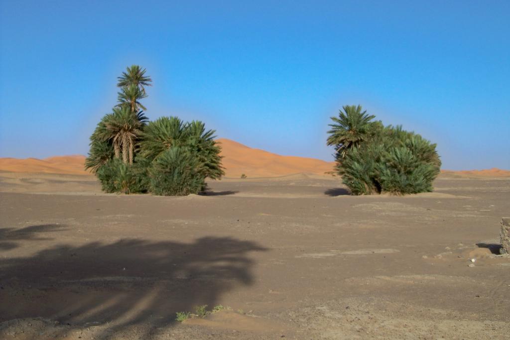 Kasbah Tamariste Merzouga Exterior foto